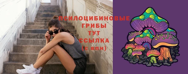 тгк Аркадак