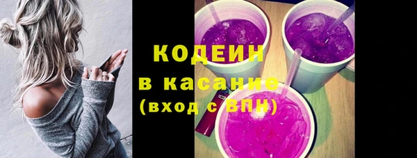 крисы Армянск