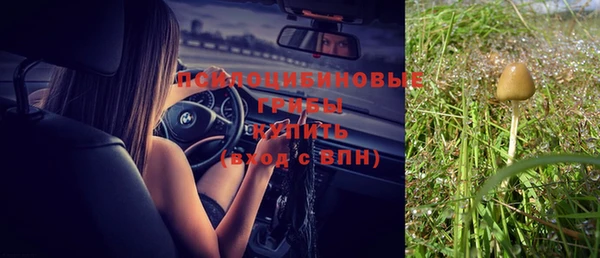 mix Арсеньев