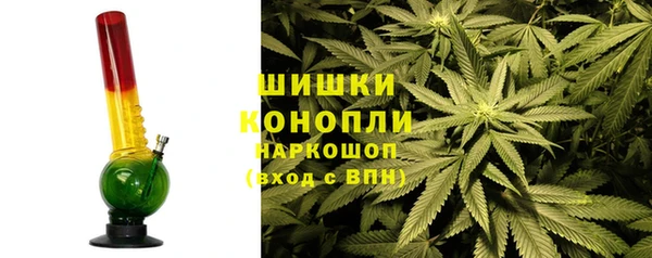 тгк Аркадак
